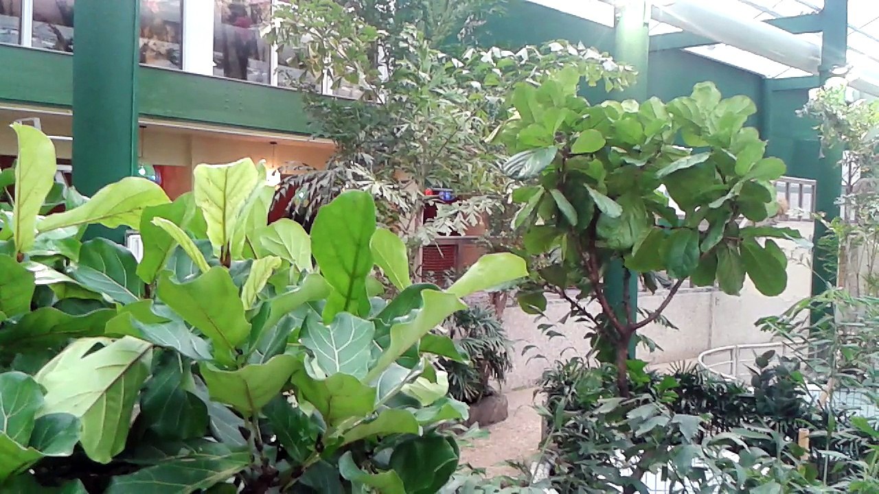 Les derniers travaux avant l'ouverture du Center Parcs les Ardennes