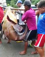 INSIDER THAILAND-What a big fish