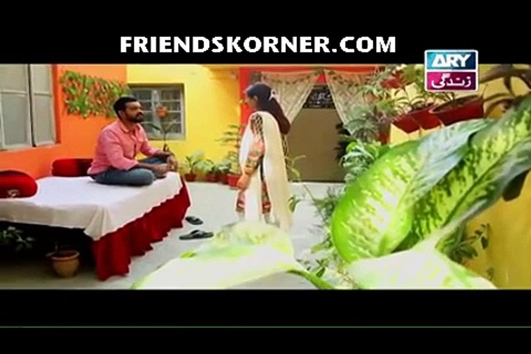 Haya Ke Rang Episode 206