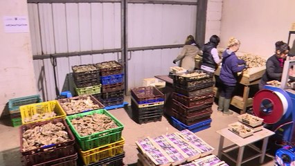 Première mondiale en France: des huîtres parfumées