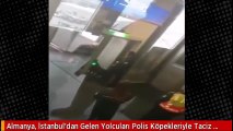 Almanya, İstanbul'dan Gelen Yolcuları Polis Köpekleriyle Tac