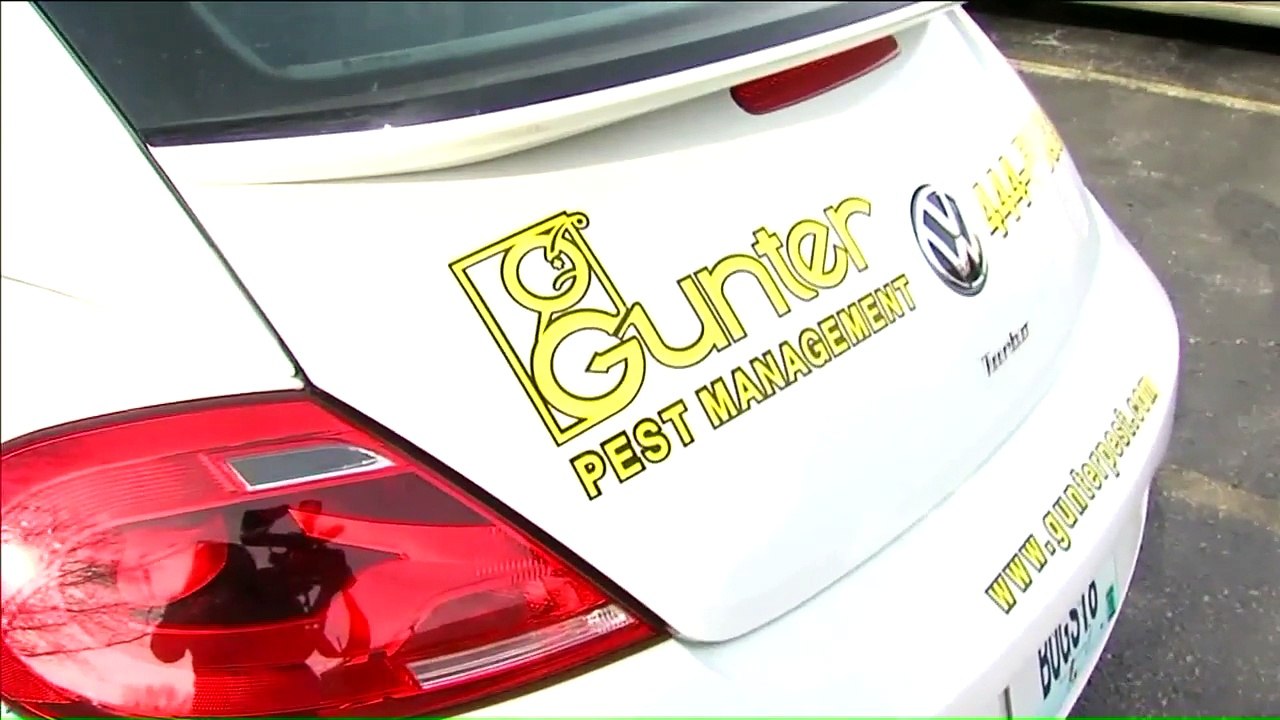 At 89-Years-Old, Man Running Pest Control Company Isn`t Ready to Retire