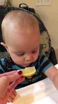 Ce bébé goûte pour la première fois un citron