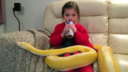 Cette fille regarde tranquillement la télé avec un énorme serpent