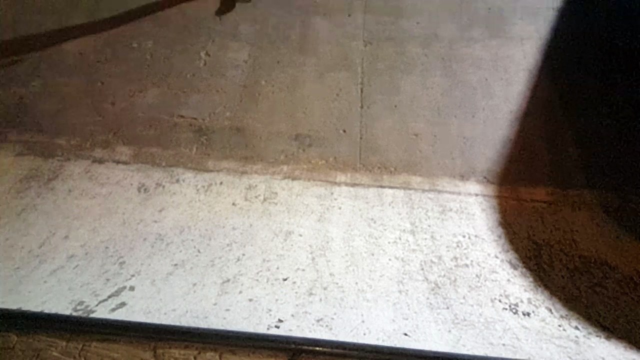 Ojo De telaraña
