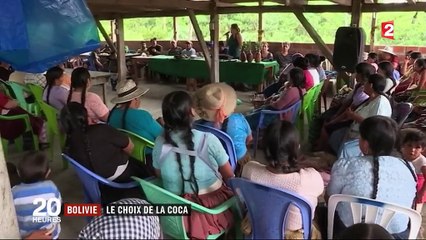 Bolivie : le choix de la coca