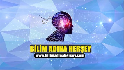 Aslan Balığı Ne Kadar Tehlikeli Olabilir ?