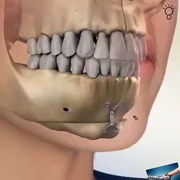 If you dont wach this video you loser