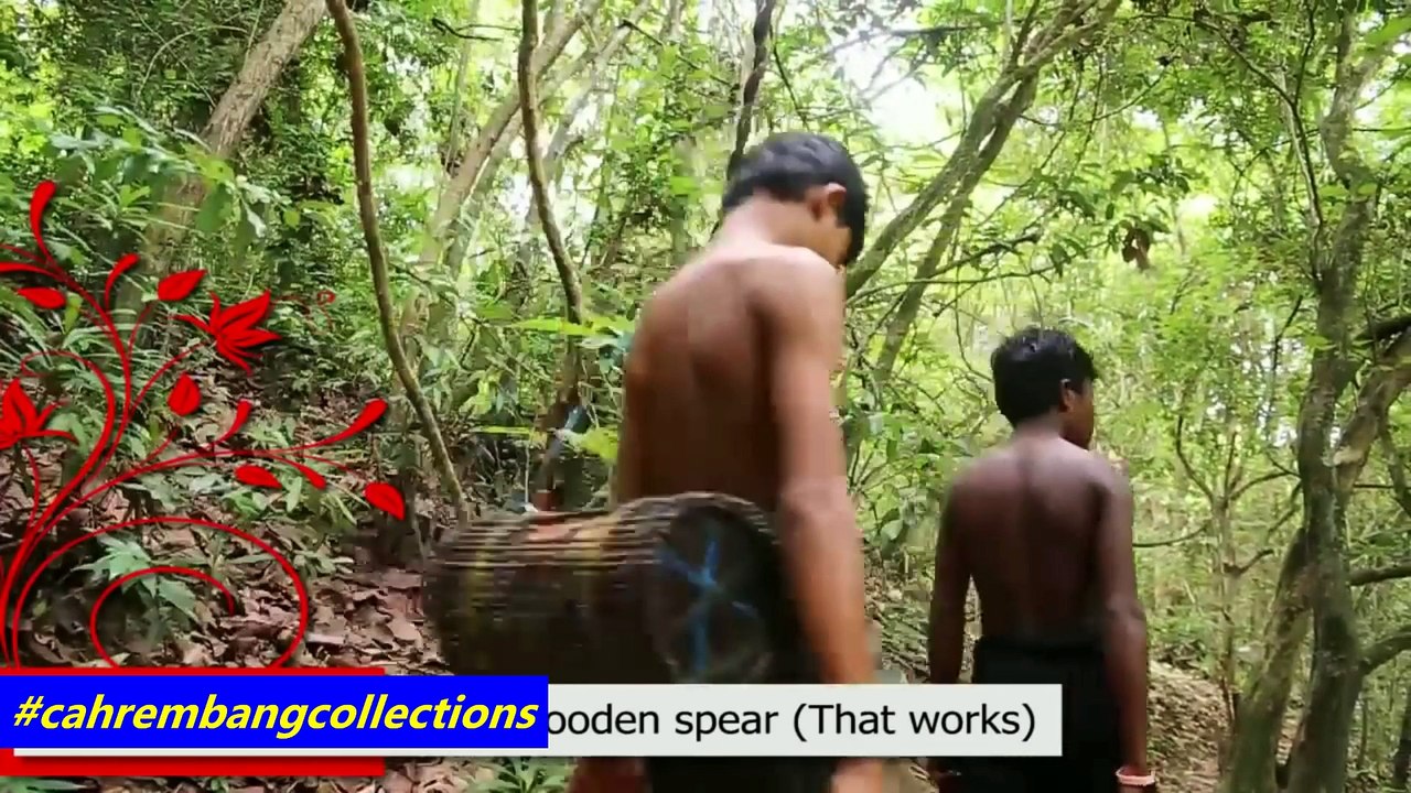 nombak ikan terkutuk