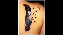 Tatuagem de Pena de Pássaro _ Lindos Modelos-YnqXOQVUFDI
