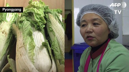 Koreans' love affair with fermented cabbage aka Kimchi