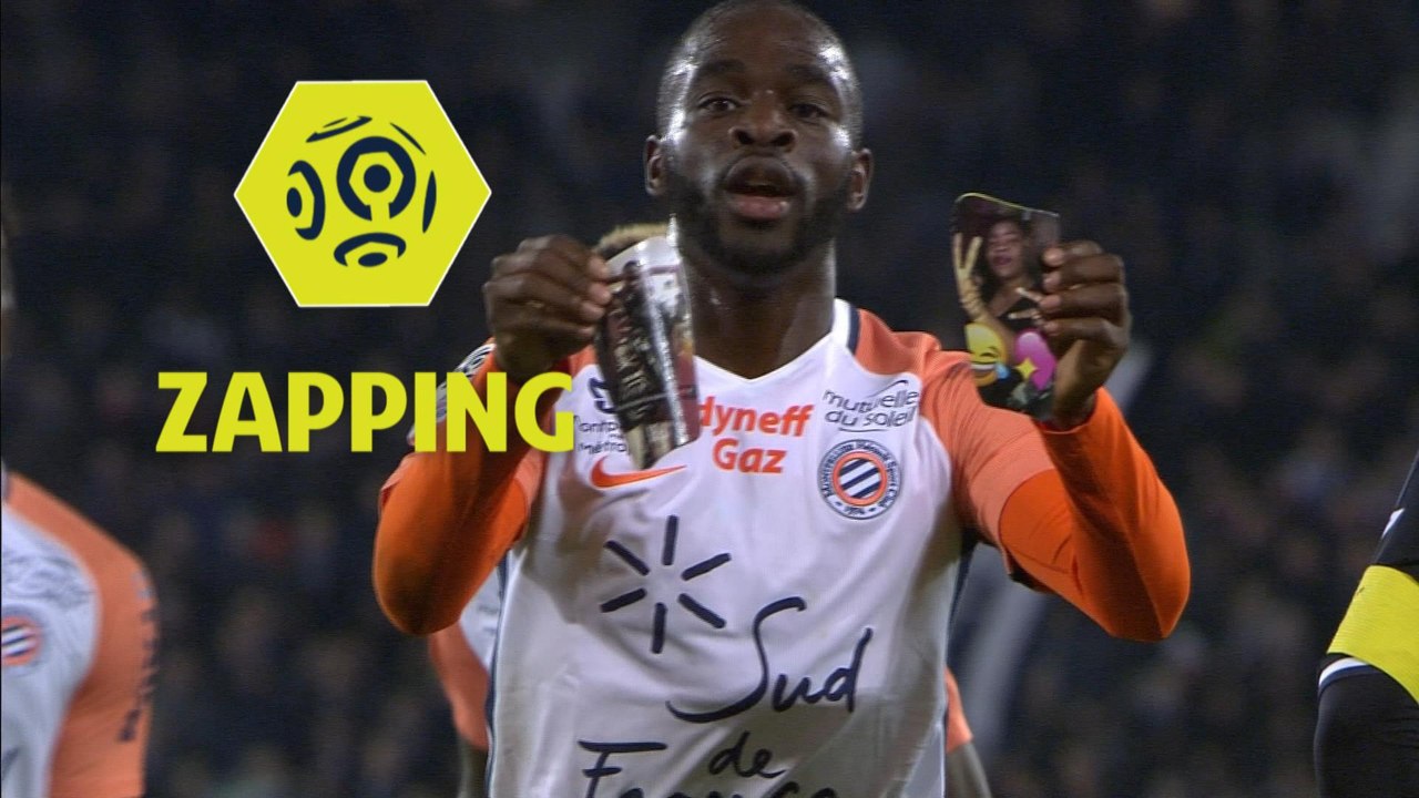 Zapping de la 19ème journée - Ligue 1 Conforama / 2017-18