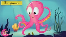 Apprendre les animaux aquatiques en français - YouTube