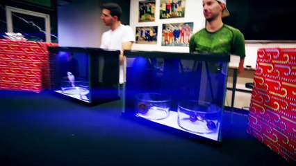 Dude Perfect Face Off | What's In The Box