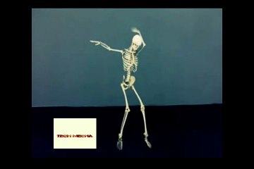 Skeleton dace on despacito song