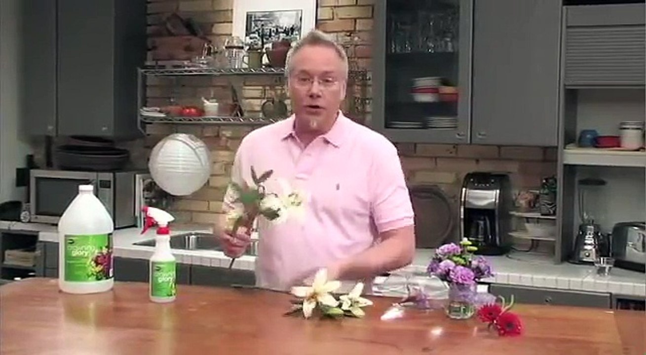 How to use Anti-transpirants on your Fresh Flower Arrangements for longer lasting flowers!-irl0okBG9rE