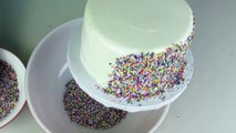 Funfetti Rainbow Sprinkle Cake - How To With The Icing Artist-TnJgTOUSEko