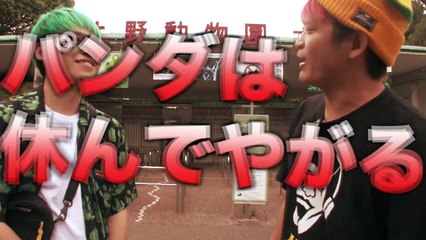 上野動物園でパンダ脱走ドッキリしたら大パニックになった！！！-RV0GiWqh808