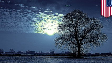 The shortest day of the year (in the north) is right around the corner