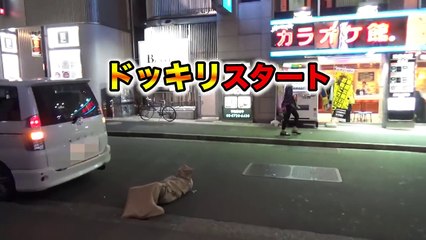 路上に死体が落ちてたら助ける？助けない？-4ywcEqNPBIY