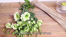 Spring elegance by Nelleke Bontje _ Flower Factor How to Make _ Powered by Van der Lugt Lisianthus-fkvsSZOGewU