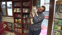 Uzman Çavuş Özkan, El Bab'da Bulduğu Kedi 