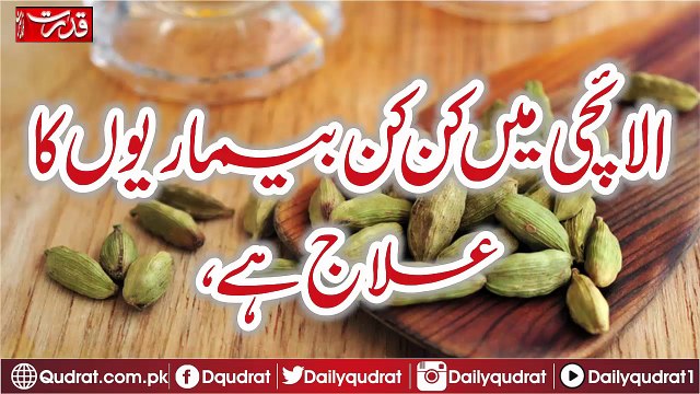 cardamom diseases are treated must Watch