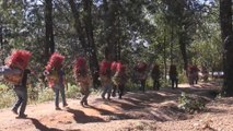 Indígenas mexicanos recolectan orquídeas para el pesebre del 