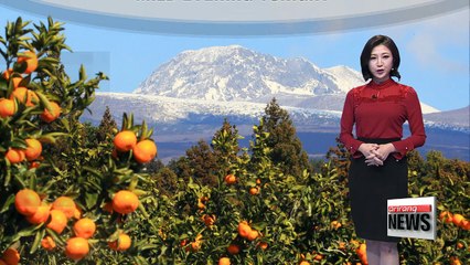 Clear skies with milder readings than today _ 122117