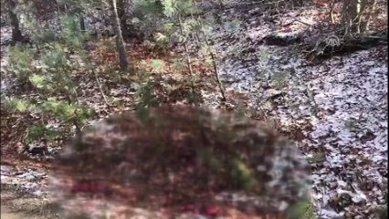 Kastamonu'daki kayıp aile (1)