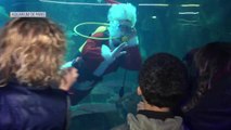 A l'Aquarium de Paris, le Père Noël est comme un poisson dans l'eau