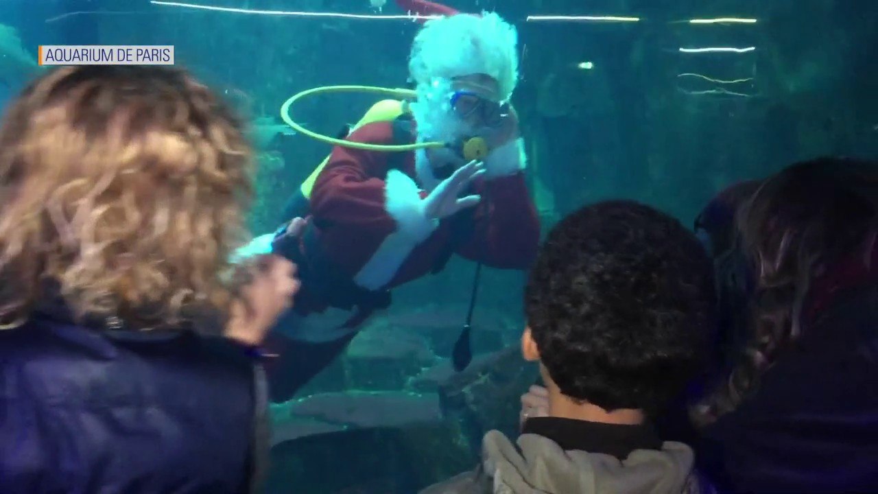 A l'Aquarium de Paris, le Père Noël est comme un poisson dans l'eau