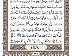 سورة الطلاق بصوت الشيخ وديع اليمني