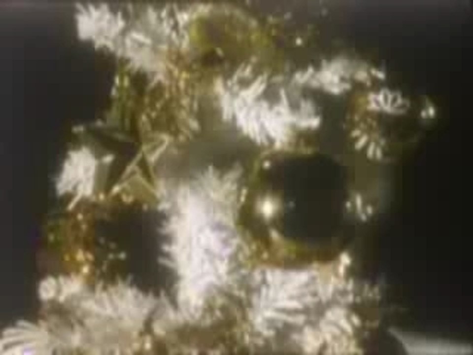 ChrisChristmasRodrig(11)