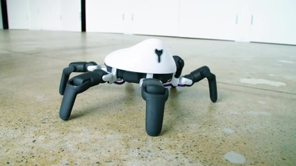 2017: The Year Robots Went Everywhere