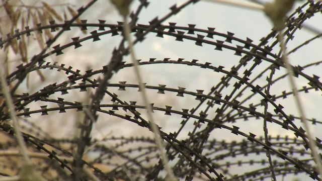 北 병사 1명 귀순...남북 경고 사격 / YTN