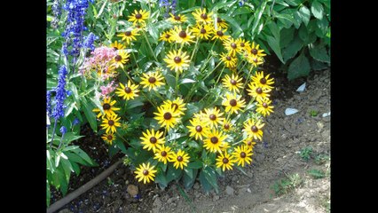 Fleurissement 2017 et passage du jury