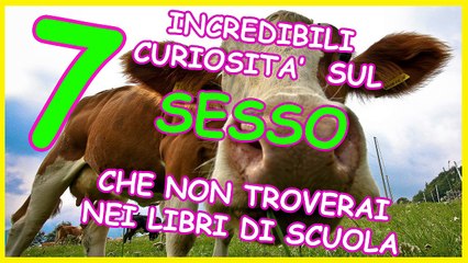 Download Video: 7 Incredibili curiosità sul SESSO che non troverai nei libri di scuola