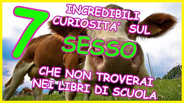 7 Incredibili curiosità sul SESSO che non troverai nei libri di scuola