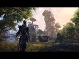 THE ELDER SCROLLS ONLINE : Morrowind - Un retour nostalgique très attendu !