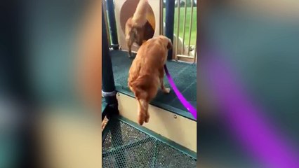 On peut toujours compter sur ses amis !