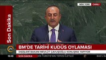 BM'de tarihi Kudüs oylaması