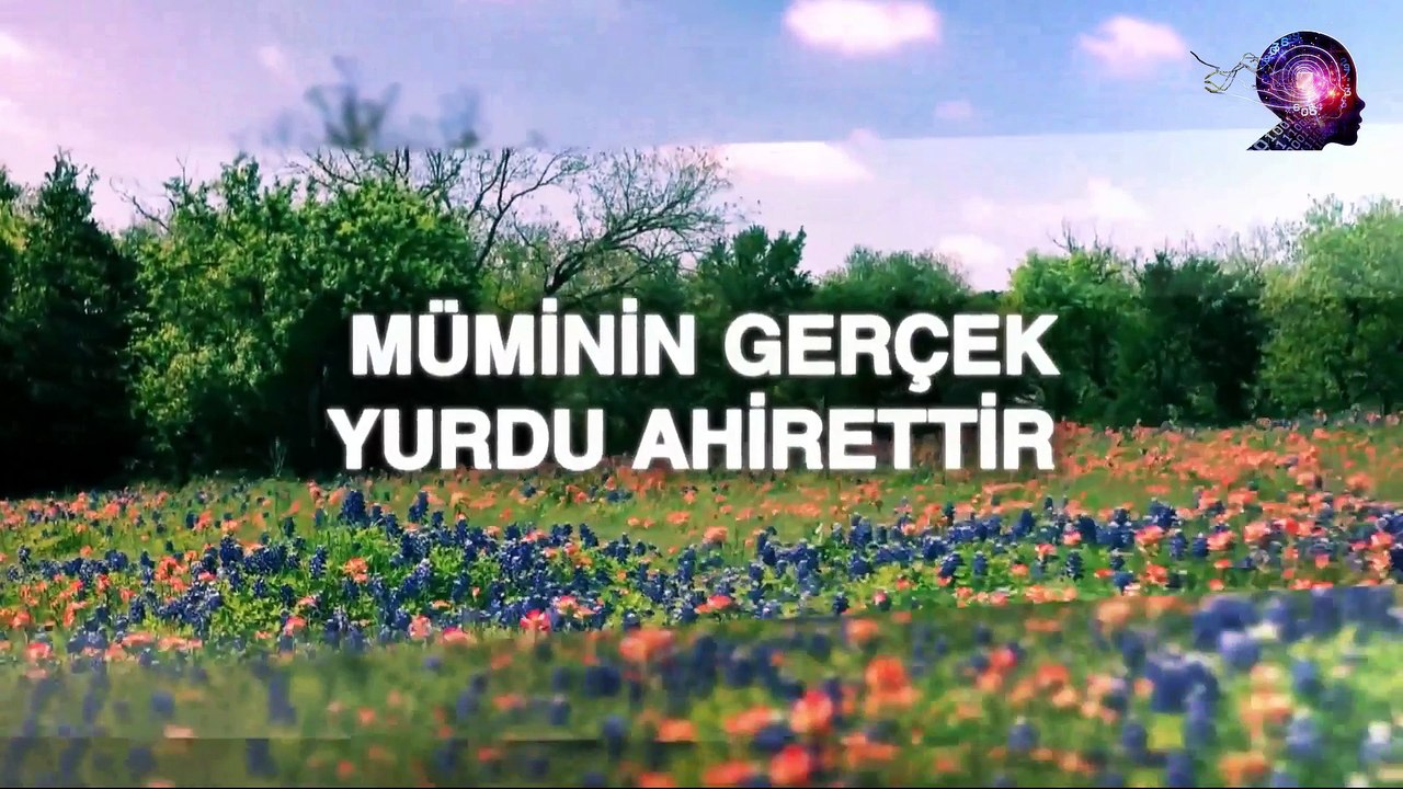 Öldükten Herkesin Geleceği Yer Burası Mı ? ?