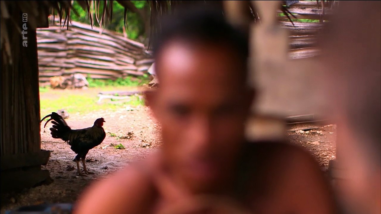 Médecines d'ailleurs - Indonésie, les hommes lontars