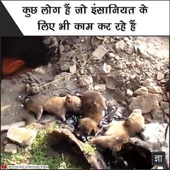 VID-20171219-WA0025