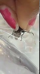 VID-20171219-WA0021