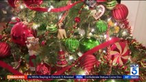 Woman Hopes to Break World Record WIth 270 Christmas Trees in Her Home
