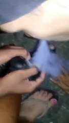 DENUNCIA: DROGAN GATO