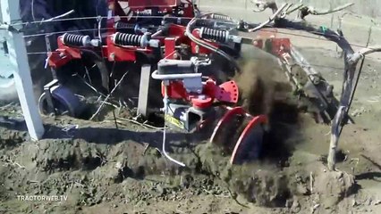 Meyve Bahçesi Olan Çiftçiler İzlesin