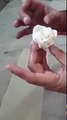 How to make roses with white chocolate.-8hVk72tvEKo